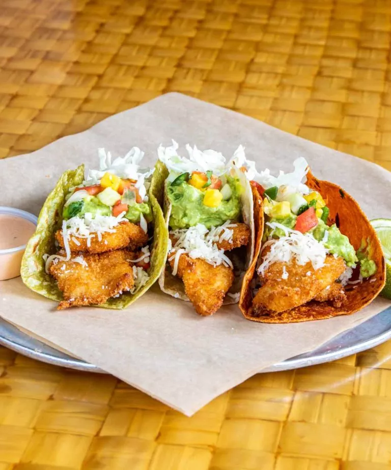 Houston Taco Bar - Cabo Bob's