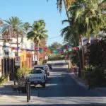 Palm tree lined street with cars parked along the sides.