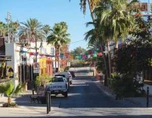 Palm tree lined street with cars parked along the sides.